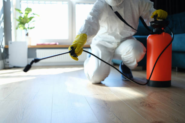Reliable Sewage Cleanup contractor in Vendor, AR by Trauma Clean Pros